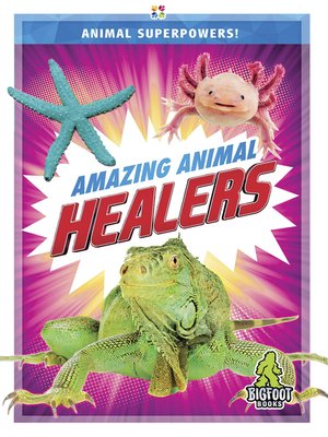 cover image of Amazing Animal Healers